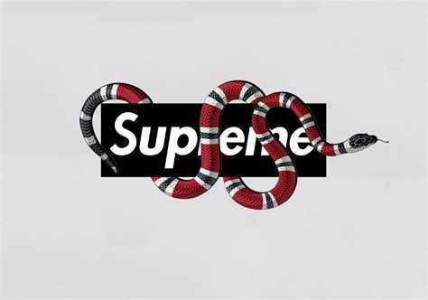 suprem gucci